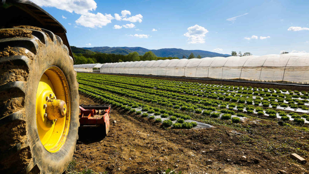 CCNL per i dipendenti di cooperative e consorzi agricoli (2024-2027)