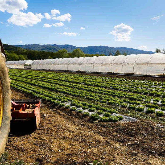 CCNL per i dipendenti di cooperative e consorzi agricoli (2024-2027)