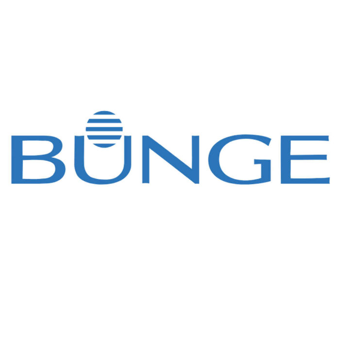 BUNGE 2008-2011