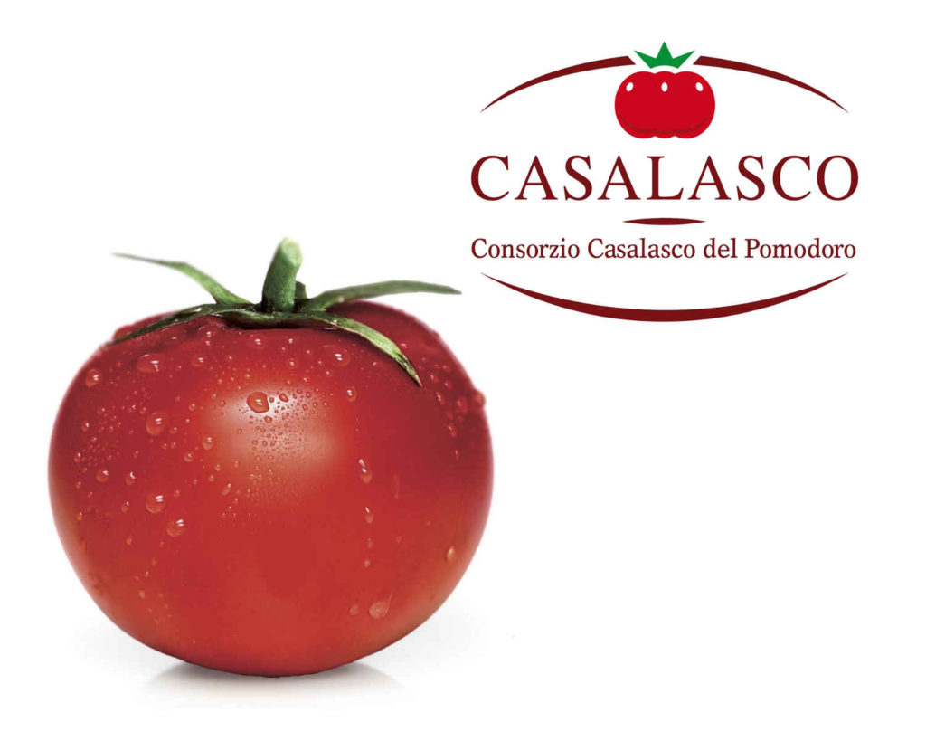 CASALASCO 2016-2019