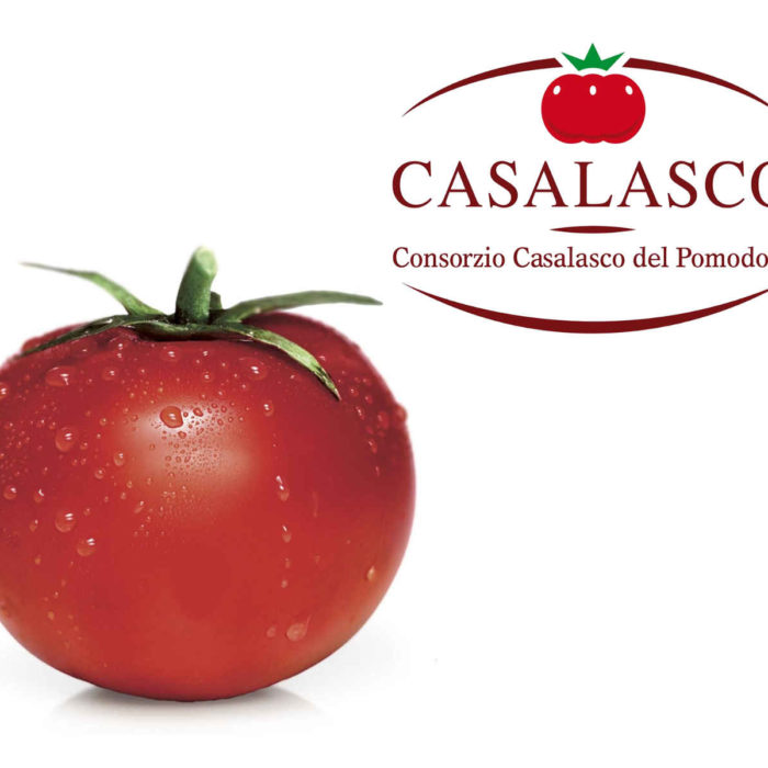 CASALASCO 2016-2019