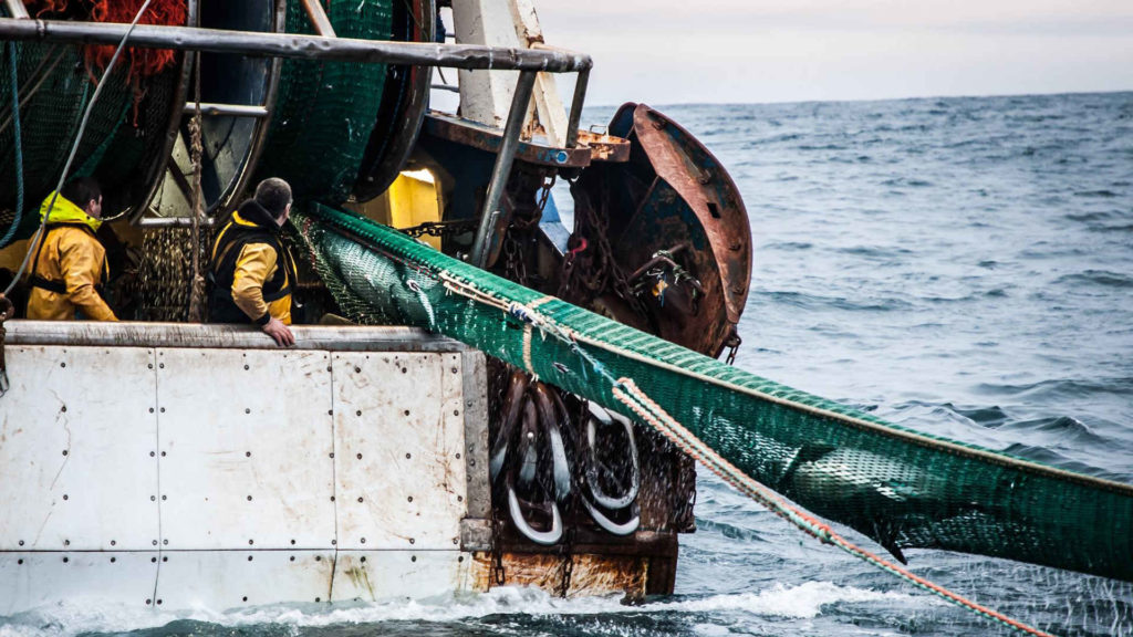 CCNL per gli imbarcati su natanti di cooperative di pesca 2021-2024