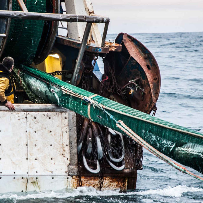 CCNL per gli imbarcati su natanti di cooperative di pesca 2021-2024