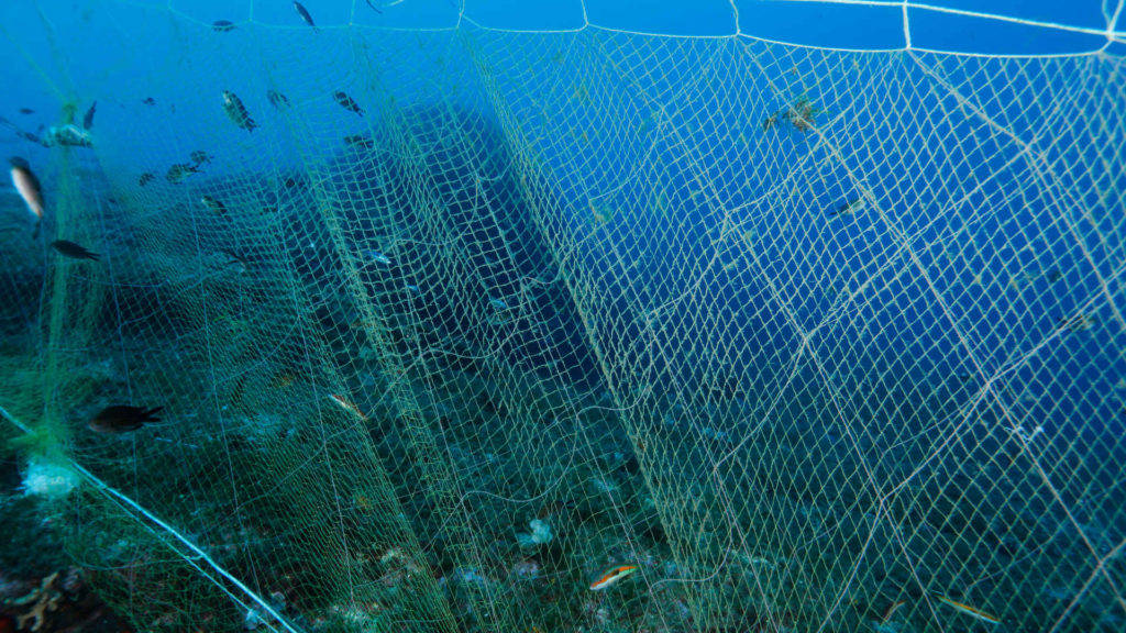 CCNL addetti imbarcati su natanti esercenti la pesca marittima 2022-2025
