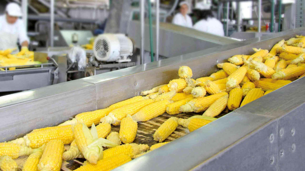 CCNL per i lavoratori dipendenti della piccola e media industria alimentare (2020-2024)