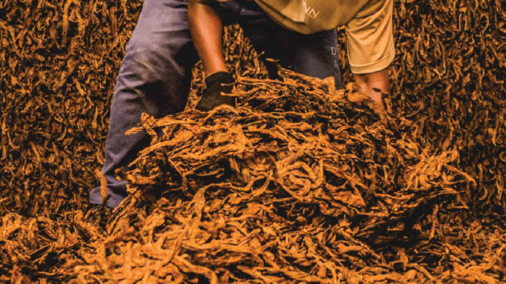 CCNL per i dipendenti dalle Aziende di lavorazione della foglia di tabacco secco allo stato sciolto (2021-2024)