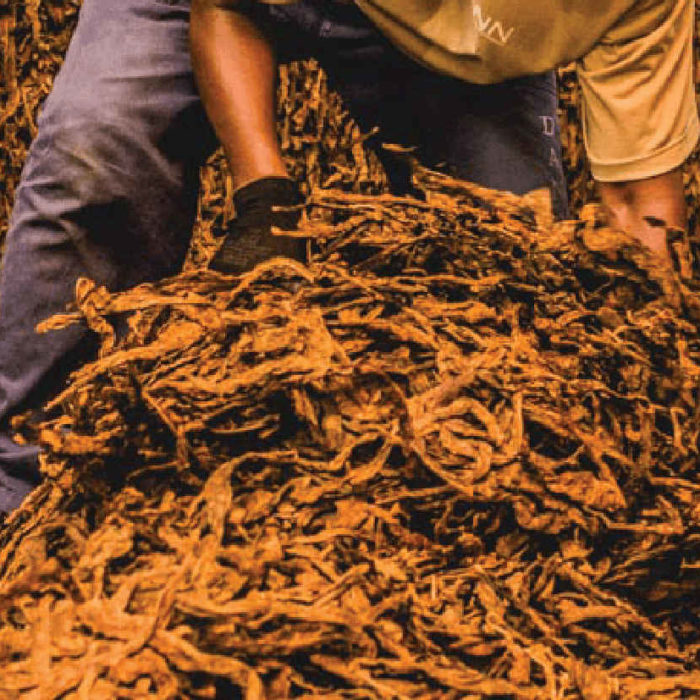 CCNL per i dipendenti dalle Aziende di lavorazione della foglia di tabacco secco allo stato sciolto (2021-2024)