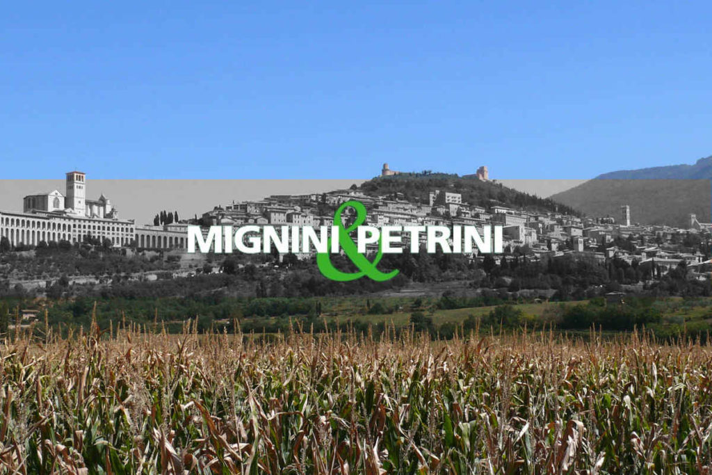 MIGNINI & PETRINI (2018-2021)