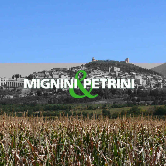 MIGNINI & PETRINI (2018-2021)