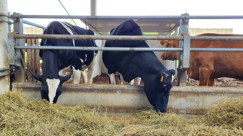 CCNL per i dipendenti dalle organizzazioni degli allevatori, consorzi ed enti zootecnici