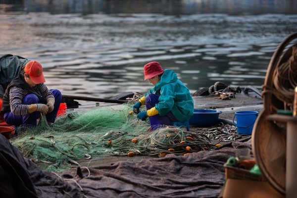 CCNL per il personale non imbarcato dipendente da cooperative di pesca